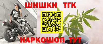 МДПВ Пенза
