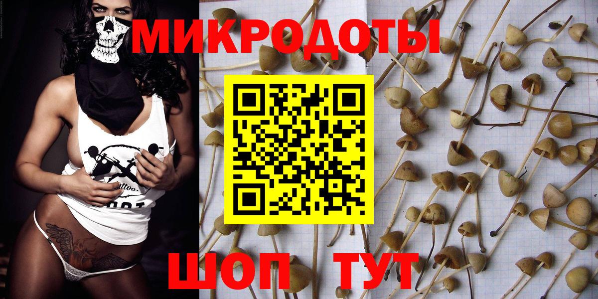 Галлюциногенные грибы Cubensis  Псилоцибиновые грибы мухоморы  Тутаев  Вход с VPN 