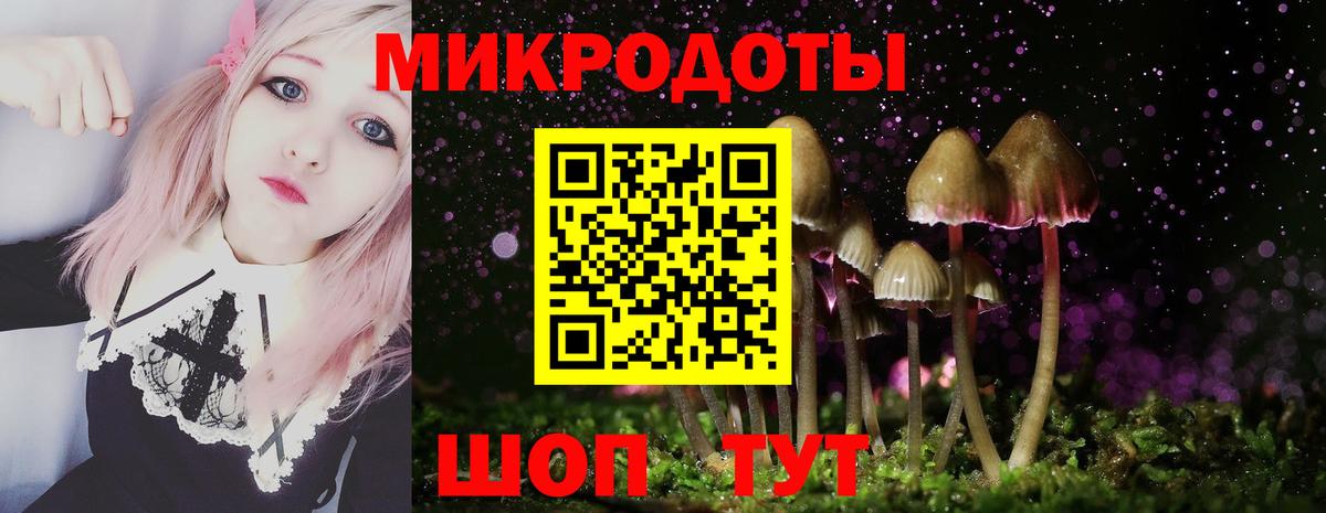 Галлюциногенные грибы Psilocybine cubensis Тутаев